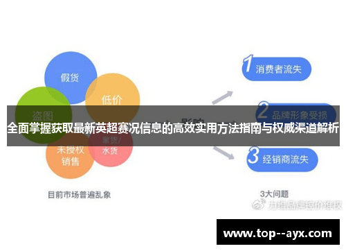 全面掌握获取最新英超赛况信息的高效实用方法指南与权威渠道解析